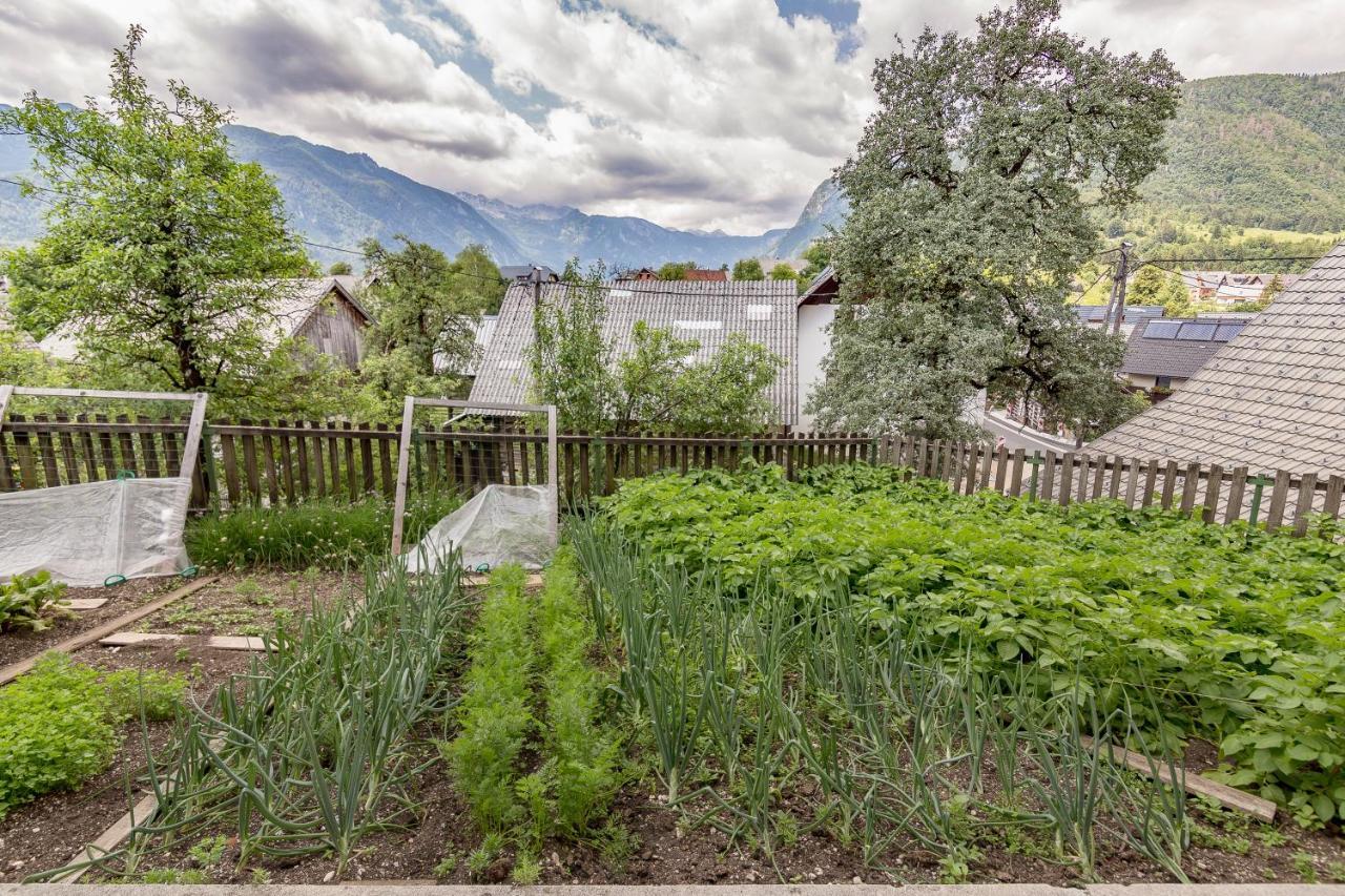 Apartment Jakovc Bohinj Exterior photo